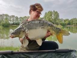 Competities HSV Alfheim